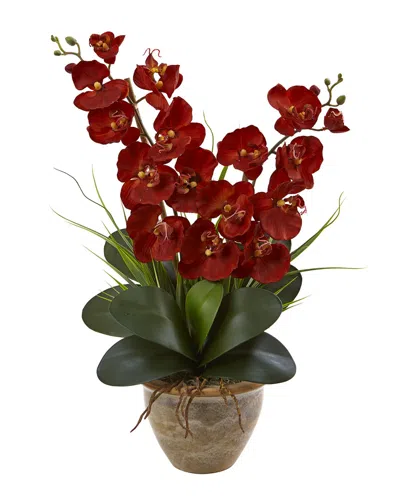 Nearly Natural Triple Stem Phalaenopsis Silk Arrangement Seasona In Multi