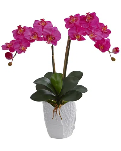 Nearly Natural Double Phalaenopsis Orchid Artificial Arrangement In White Ceramic Vase In Dark Pink