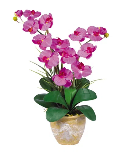 Nearly Natural Double Phalaenopsis Silk Orchid Flower Arrangement In Pink
