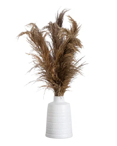 Nearly Natural Dried Natural Pampas Arrangement In Ceramic Vase In Brown