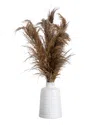 Nearly Natural Dried Natural Pampas Arrangement In Ceramic Vase In Brown