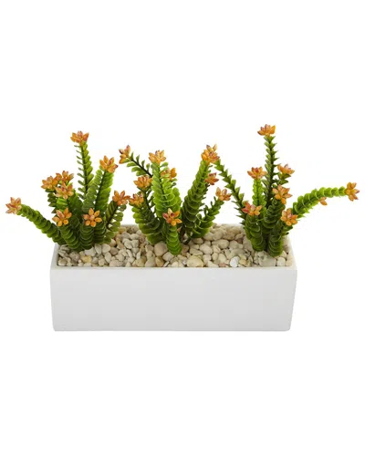 Nearly Natural Flowering Sedum In Rectangular Planter In Green