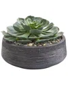 Nearly Natural Giant Echeveria Succulent Artificial Plant In Green