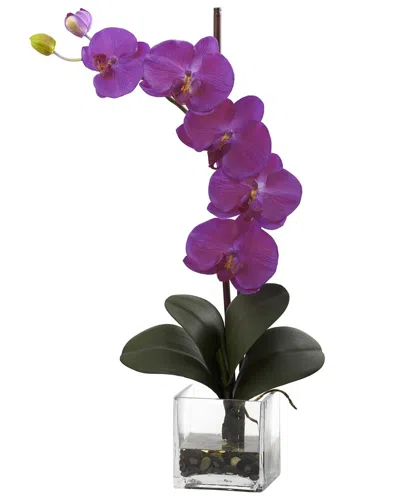 NEARLY NATURAL NEARLY NATURAL GIANT PHALAENOPSIS ORCHID WITH VASE ARRANGEMENT