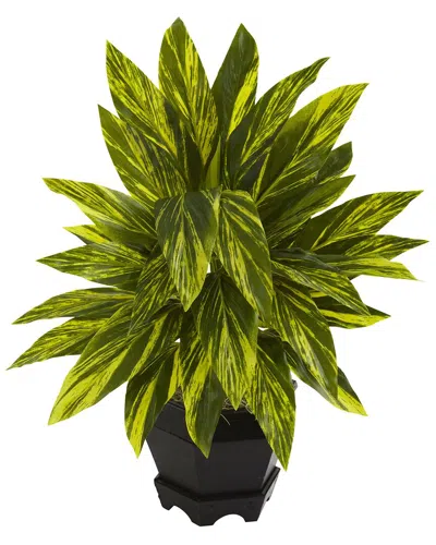 Nearly Natural Ginger Plant W/ Black Planter In Green