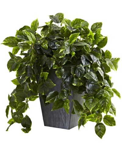 Nearly Natural Hanging Pothos