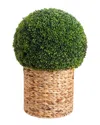 NEARLY NATURAL NEARLY NATURAL INDOOR/OUTDOOR UV-RESISTANT ARTIFICIAL BOXWOOD BALL TOPIARY IN HYACINTH WEAVE BASKET
