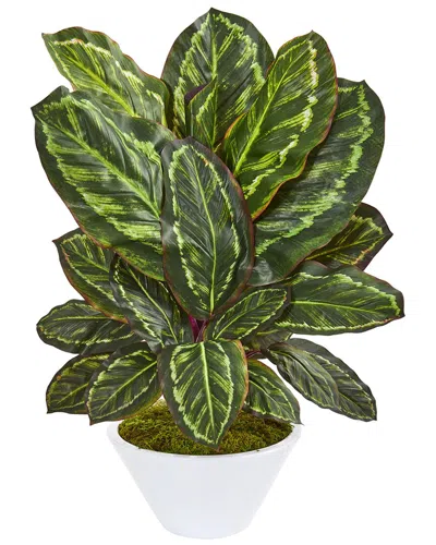 Nearly Natural Maranta Artificial Plant In White Vase In Green