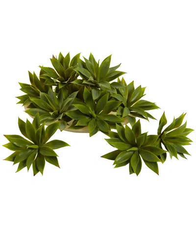 Nearly Natural Mini Agave Succulent Plant, Set Of 12 In Green