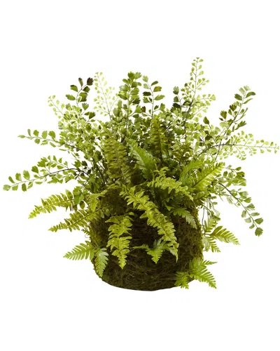 Nearly Natural Mixed Fern With Twig And Moss Basket