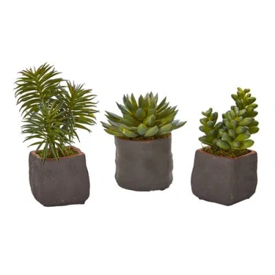 Nearly Natural Mixed Succulent Trio Artificial Plant In Gray