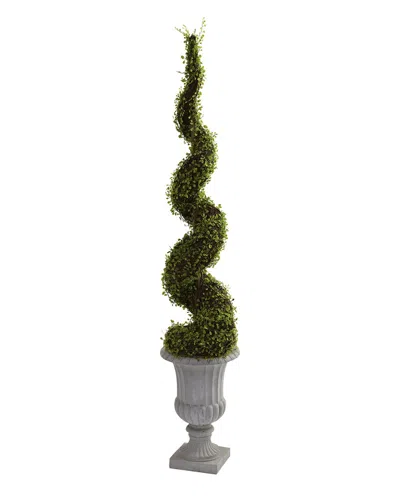 Nearly Natural Mohlenbechia Spiral Tree