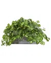 Nearly Natural Nephthytis Artificial Plant In Stone Planter In Green