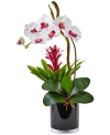 Nearly Natural Orchid & Bromeliad Artificial Arrangement In Glossy Black Cylinder Vase In White
