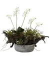 Nearly Natural Orchid And Succulent Garden W/ Driftwood And Decorative Vase In White,green