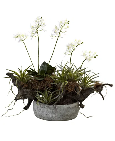 NEARLY NATURAL ORCHID AND SUCCULENT GARDEN W/ DRIFTWOOD AND DECORATIVE VASE
