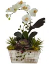 Nearly Natural Orchid & Artificial Succulent Garden With White-washed Planter In White