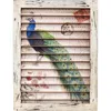 Nearly Natural Peacock Window Shutter Wall Decor In Brown