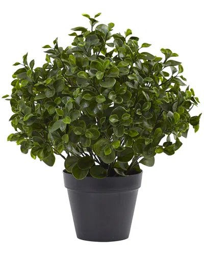 Nearly Natural Peperomia Plant Uv Resistant In Green