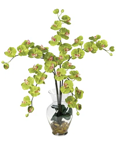 Nearly Natural Phalaenopsis Liquid Illusion Silk Flower Arrangement In Green