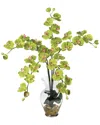 Nearly Natural Phalaenopsis Liquid Illusion Silk Flower Arrangement In Green