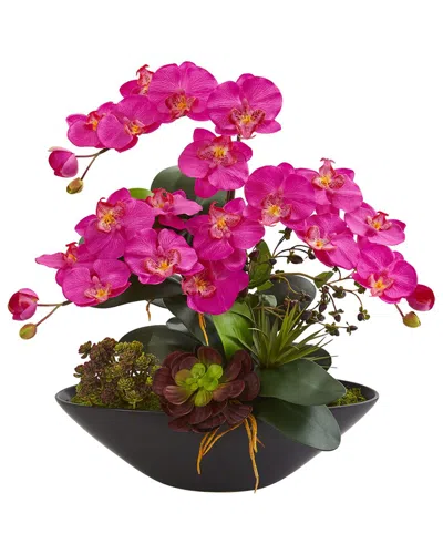 Nearly Natural Phalaenopsis Orchid & Mixed Succulent Garden Artificial Arrangement In Black Vase In Pink