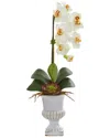 Nearly Natural Phalaenopsis Orchid & Succulent Artificial Arrangement In Urn In Cream