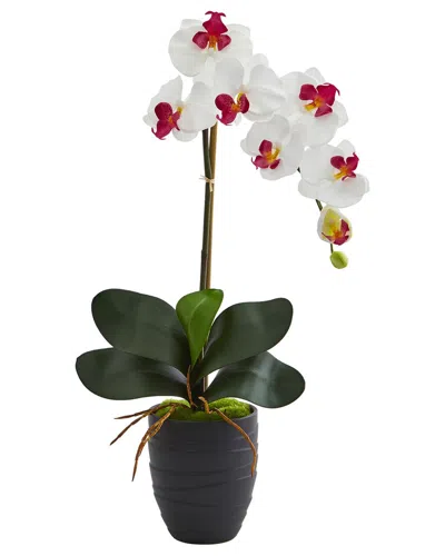 Nearly Natural Set Of 3 Phalaenopsis Orchids Artificial Arrangement In Vase In White