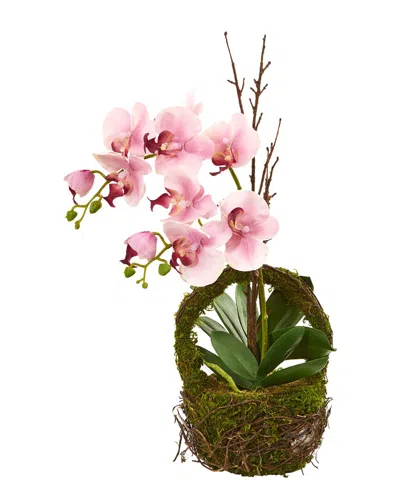 Nearly Natural Phalaenopsis Orchid Artificial Arrangement In Twig Basket In Pink