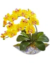 Nearly Natural Phalaenopsis Orchid Artificial Arrangement In Vase