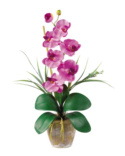 Nearly Natural Phalaenopsis Silk Orchid Flower Arrangement In Purple