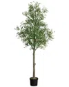 Nearly Natural Podocarpus With Mossed Bonsai Planter In Green