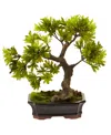 Nearly Natural Podocarpus W/mossed Bonsai Planter In Green