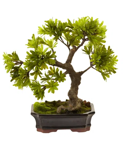 Nearly Natural Podocarpus W/mossed Bonsai Planter In Green