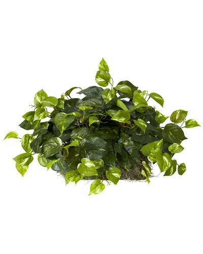 Nearly Natural Pothos Ledge Plant (set On Foam) Silk Plant In Green