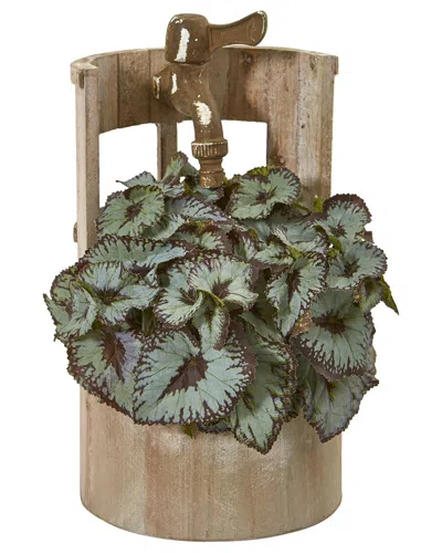 Nearly Natural Rex Begonia Artificial Plant In Faucet Planter In Green