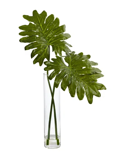 Nearly Natural Selloum Artificial Plant In Cylinder Glass