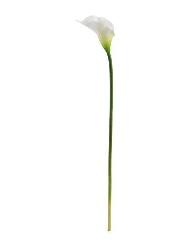Nearly Natural 30in. Calla Lily Artificial Flower Set Of 6 In Yellow