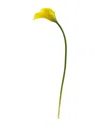 Nearly Natural 30in. Calla Lily Artificial Flower Set Of 6 In Yellow