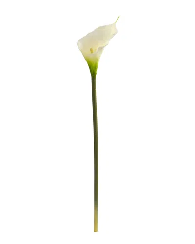 Nearly Natural 19.5" Calla Lily Artificial Flower, Set Of 12 In Cream