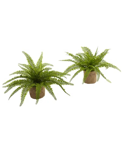 NEARLY NATURAL NEARLY NATURAL SET OF 2 BOSTON FERNS WITH BURLAP PLANTER