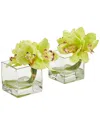 NEARLY NATURAL NEARLY NATURAL SET OF 2 CYMBIDIUM ORCHID ARTIFICIAL ARRANGEMENT IN GLASS VASE