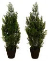 Nearly Natural Set Of 2 Indoor/outdoor Uv-resistant 2ft Artificial Cedar Pine Trees In Green