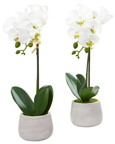 Nearly Natural Set Of 2 Phalaenopsis Orchid Artificial Arrangements In White