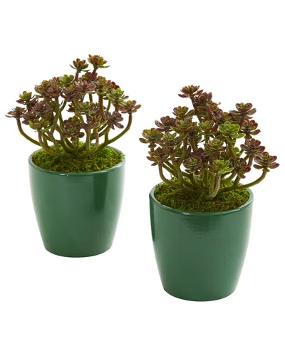 Nearly Natural Set Of 2 Sedum Artificial Plants In Green Planter