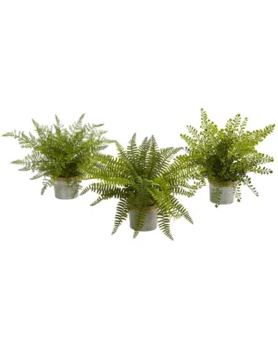 Nearly Natural Set Of 3 Assorted Ferns With Planter Artificial Plant In Green