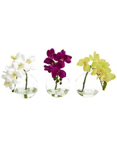 Nearly Natural Set Of 3 Phalaenopsis Orchids Artificial Arrangement In Vase In Multi
