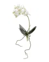 Nearly Natural 13-in. Mini Orchid Phalaenopsis Artificial Flower, Set Of 6 In White