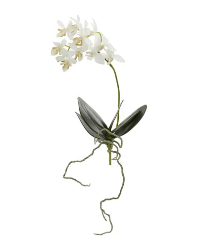 Nearly Natural 13-in. Mini Orchid Phalaenopsis Artificial Flower, Set Of 6 In White