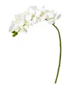 NEARLY NATURAL NEARLY NATURAL SET OF 6 21IN PHALAENOPSIS ORCHID ARTIFICIAL FLOWER